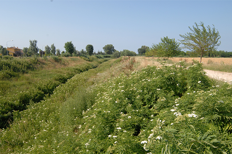 Sentieri-per-l-Uso-2010